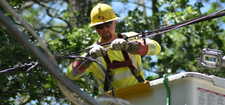 Wisconsin intelligence overview