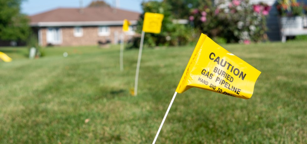 Yellow utility location flags lined up in a homeowner's yard. 