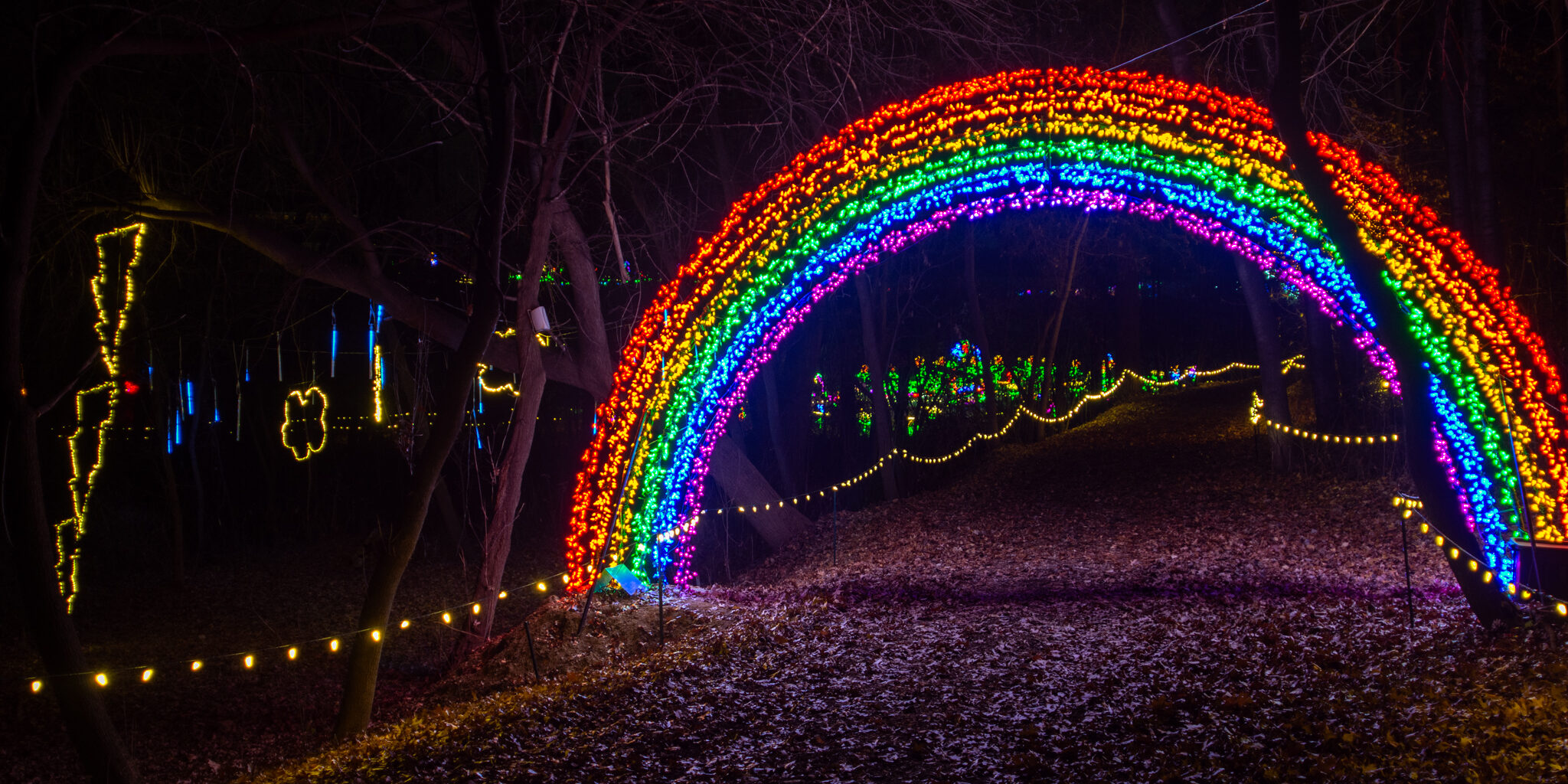 Multi-colored holiday lights arranged in a rainbow arch with a vegetable garden display in the background at night.
