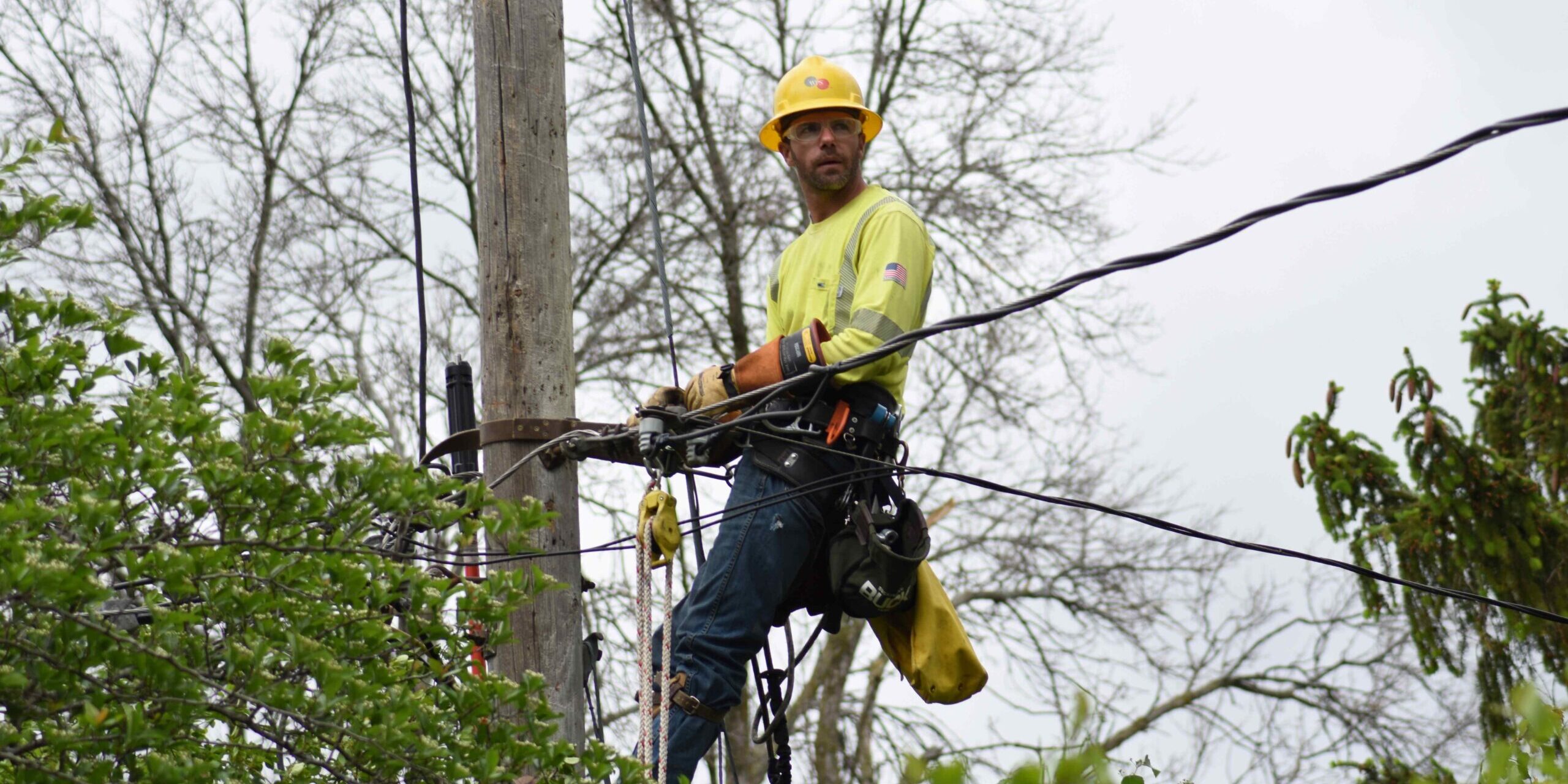 A WPS lineworker looks down a power line after climbing a utility pole next to trees.