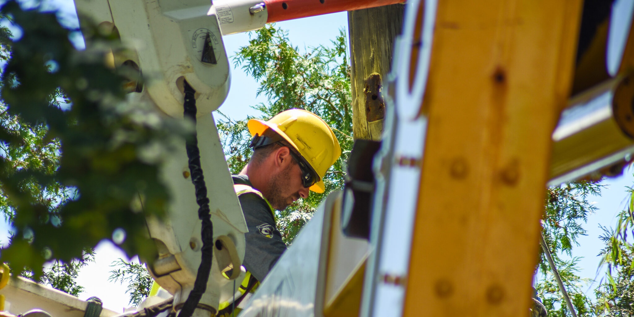 A WPS lineworker works on a utility pole among several trees.