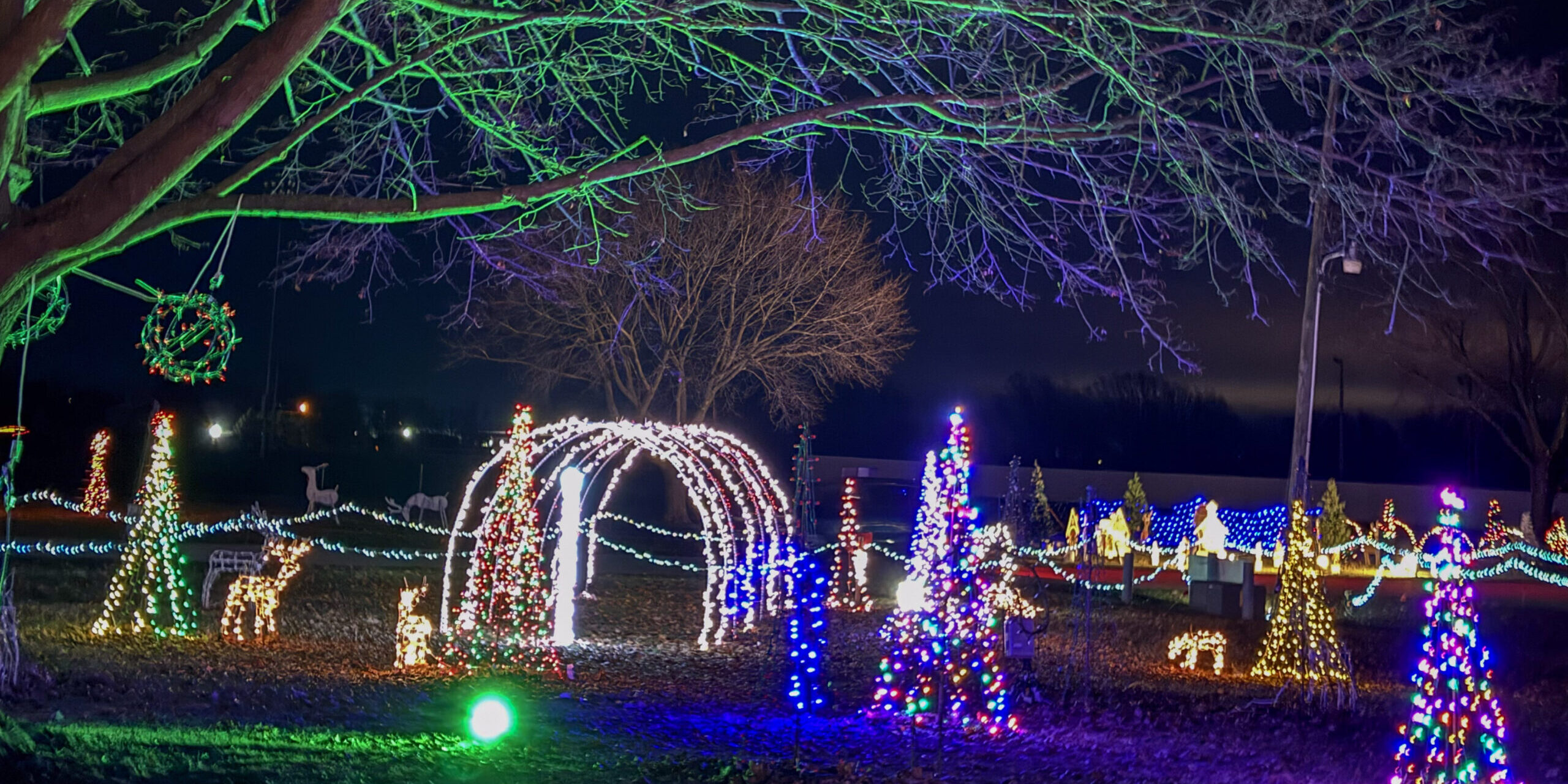 A multicolored holiday light display set up between two large trees and lit up at night.