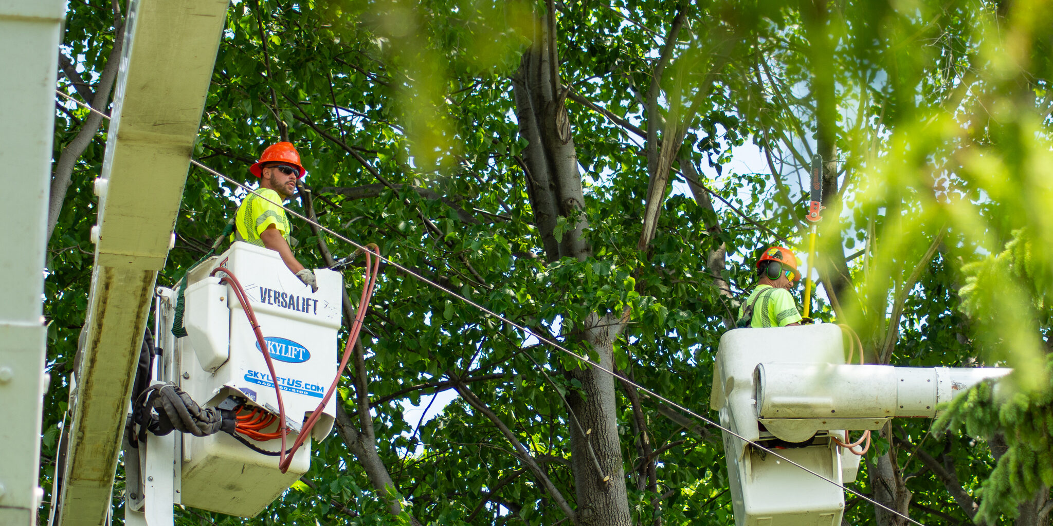 Two forestry workers in utility buckets look at tree branches while up in the air.