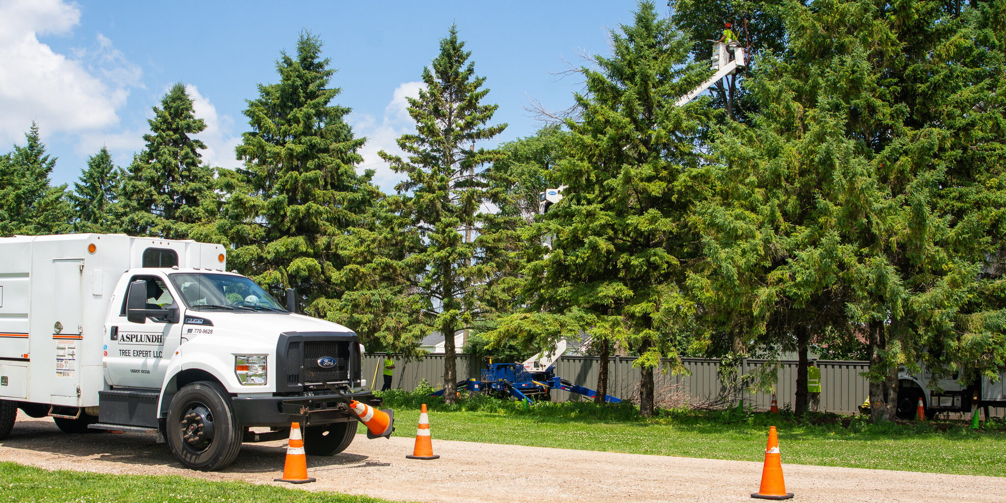 A white truck parked on a gravel road near a tree trimming worker in a utility bucket that is between tree tops.