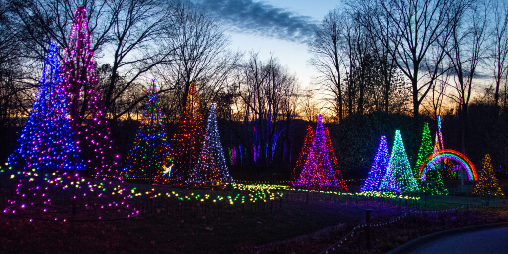 Several holiday trees illuminated by multi-colored lights and spread across a small hill.