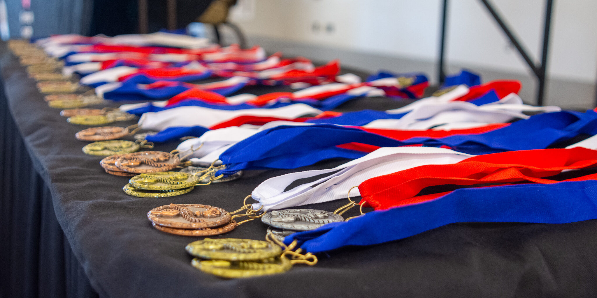 Several gold, silver and bronze medals lying on a long table at the 30th annual WPS Solar Olympics.
