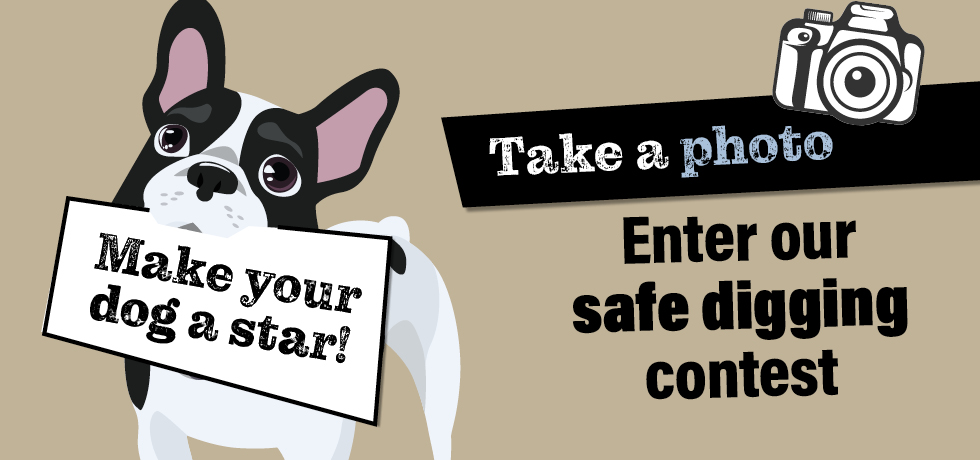 A graphic of a black-and-white dog holding a sign in its mouth that states, "Make your dog a star!" To the right of the dog is the text, "Take a photo, enter our safe digging contest."
