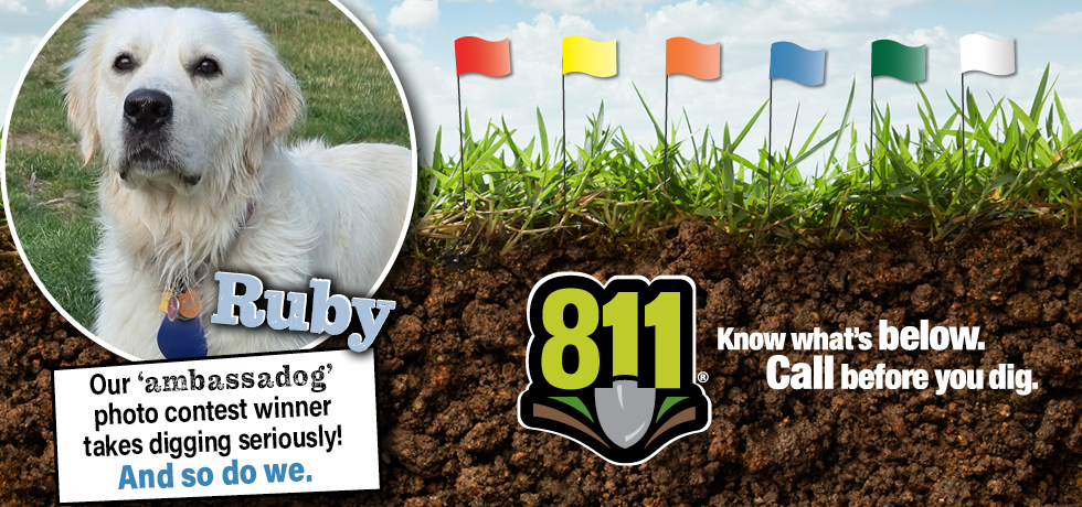 A photo of a dog with white fur in a circular frame next to a graphic of dirt, grass and multicolored flags.