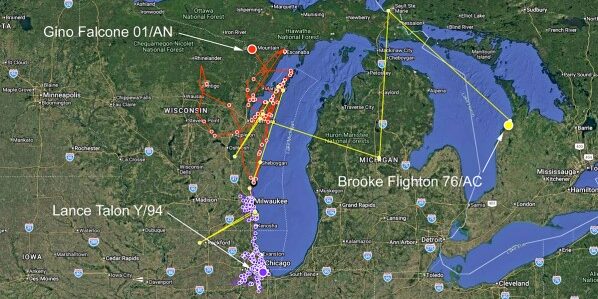 A map of Wisconsin, Michigan, Minnesota and southern Canada showing the travel paths of peregrine falcons in red, yellow and purple dots and lines.