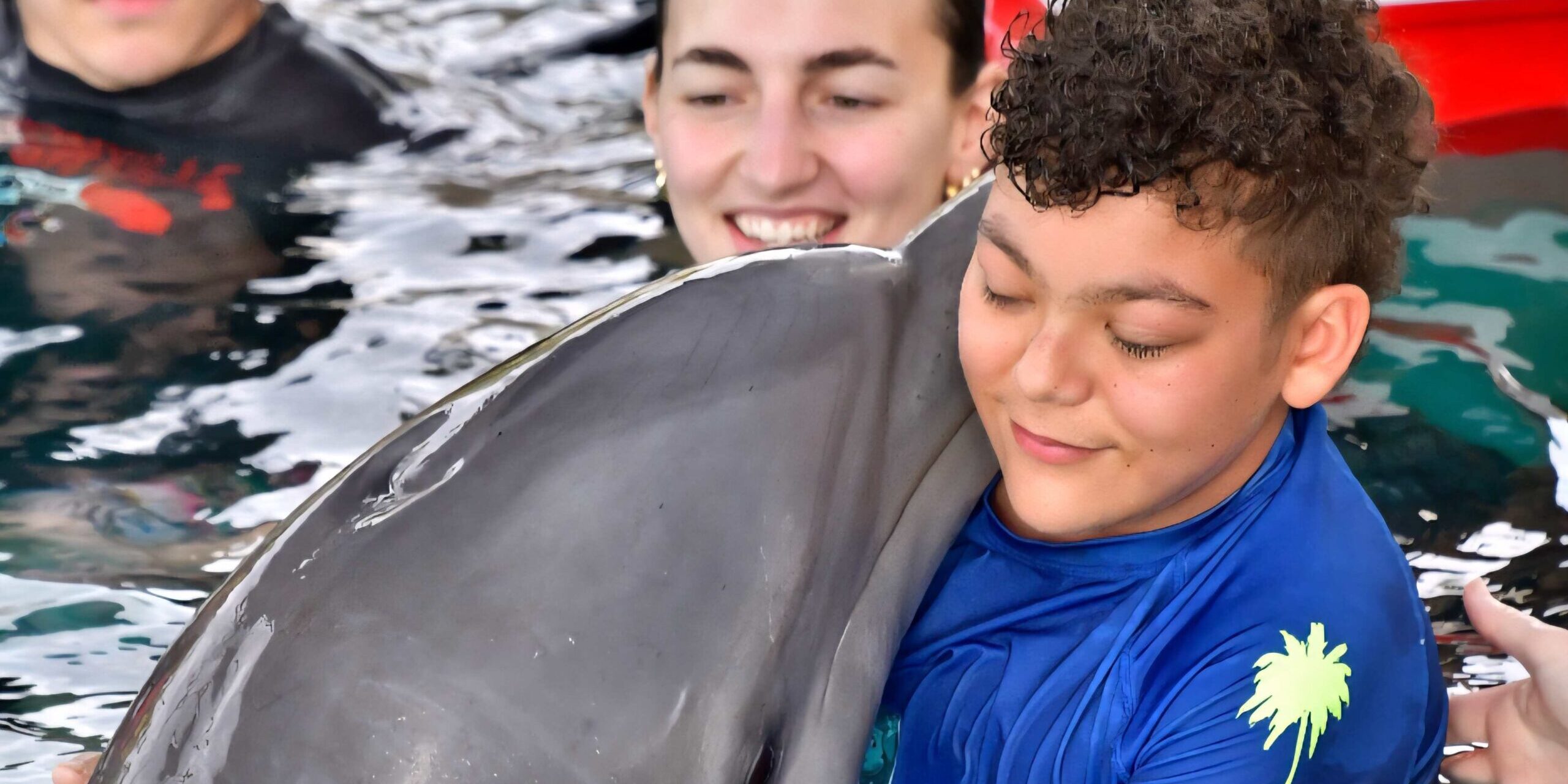 A young boy swims with a dolphin inside a pool.